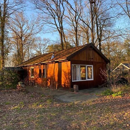 Basic Natuurhuisje Ommen/Beerze Villa Exterior foto