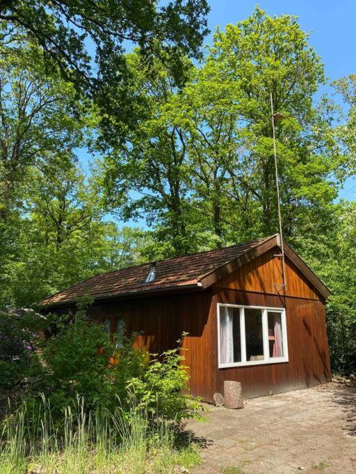 Basic Natuurhuisje Ommen/Beerze Villa Exterior foto