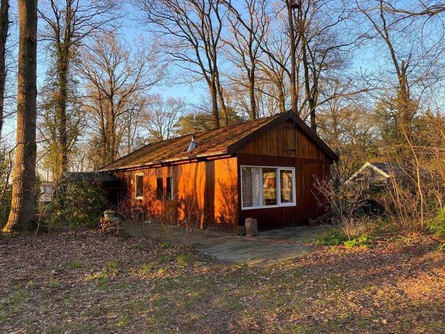 Basic Natuurhuisje Ommen/Beerze Villa Exterior foto
